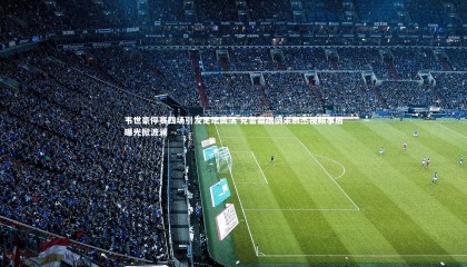 九游体育登录入口-韦世豪停赛四场引发足坛震荡 克雷桑踹倒朱辰杰视频事后曝光掀波澜